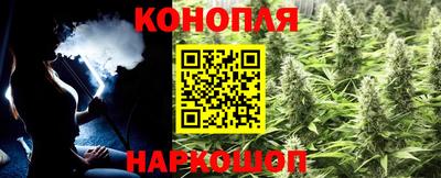 крисы Абакан