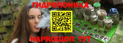 крисы Абакан