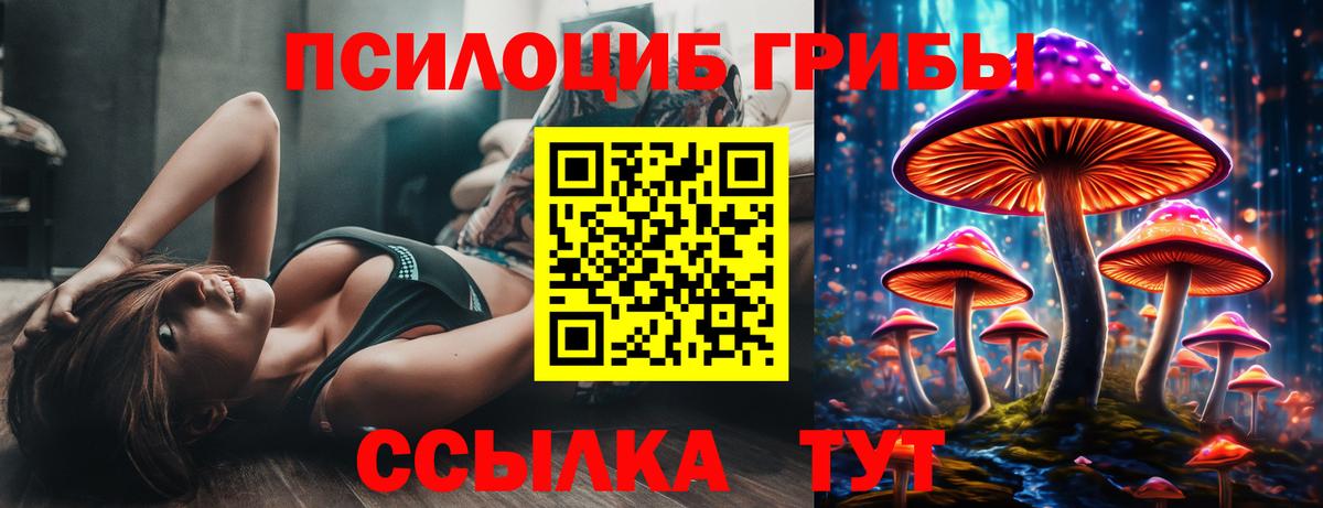 Галлюциногенные грибы ЛСД Апатиты